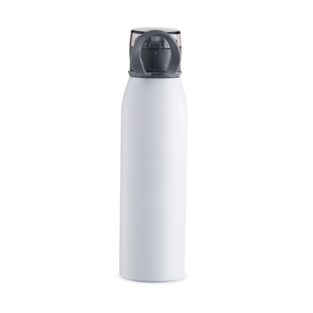 GARRAFA INOX 650ML